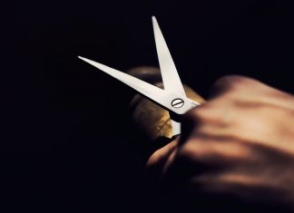 Nel 2019 taglieremo lo stipendio dei parlamentari