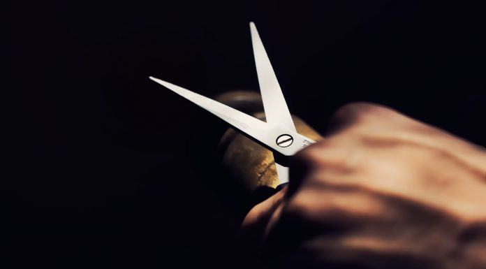 Nel 2019 taglieremo lo stipendio dei parlamentari