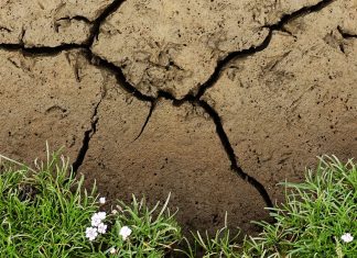 L’allarme dell’astronauta Parmitano sul #climatechange