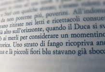 Verso i “Fiori Blu”