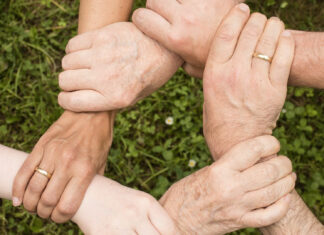 Le ragioni di una scelta. La mia adesione a Insieme