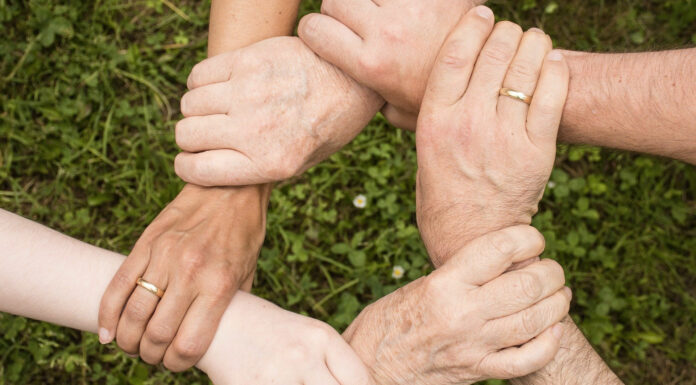 Le ragioni di una scelta. La mia adesione a Insieme