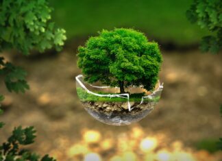 Una mozione in vista della 49a Settimana Sociale di Taranto