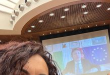 Lo strumento della diplomazia parlamentare in III commissione