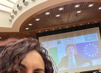 Lo strumento della diplomazia parlamentare in III commissione